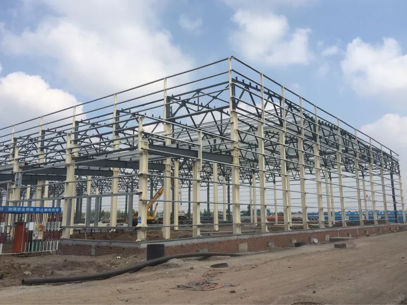 Cost-Effective Steel Frame Housing